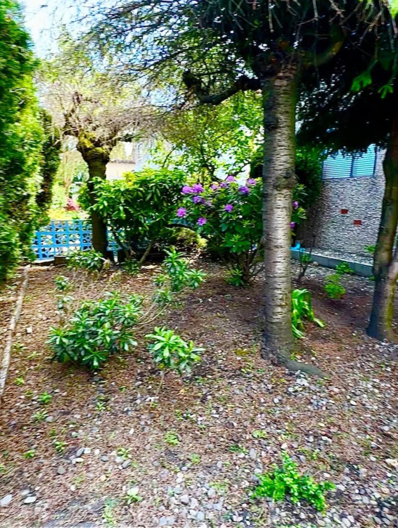 Charming Corner Villa Vancouver Dış mekan fotoğraf