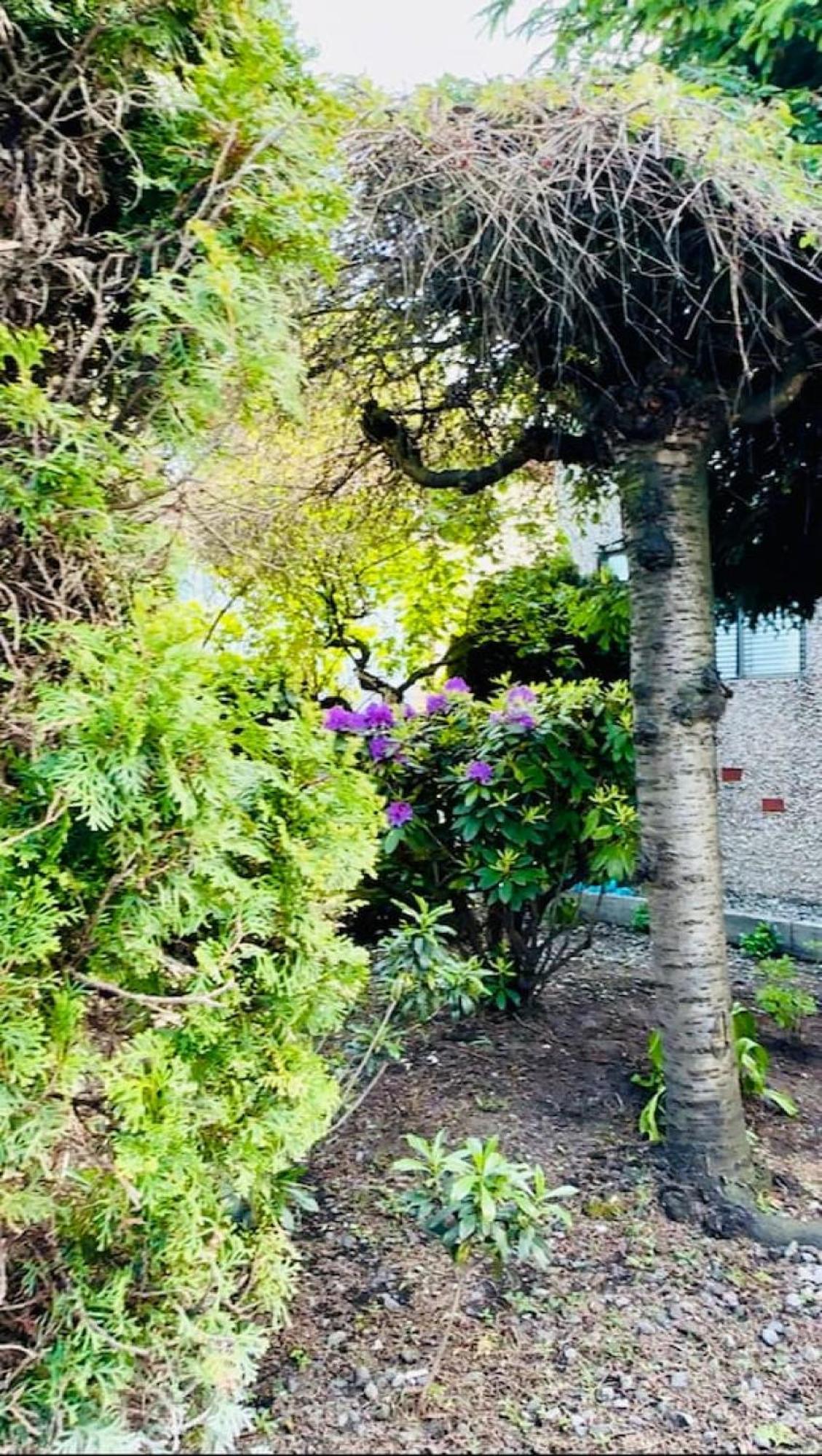 Charming Corner Villa Vancouver Dış mekan fotoğraf